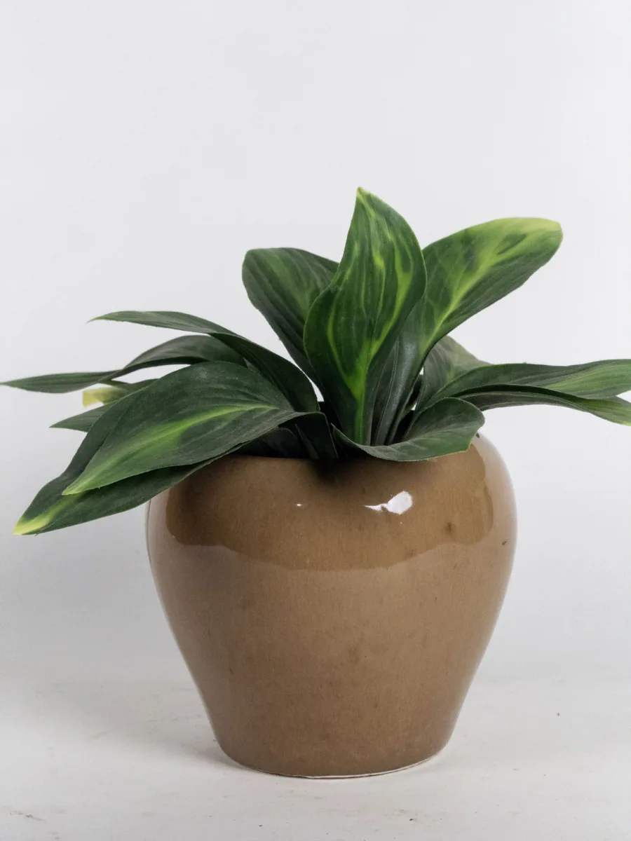 Classic Ceramic Planter — Primary View