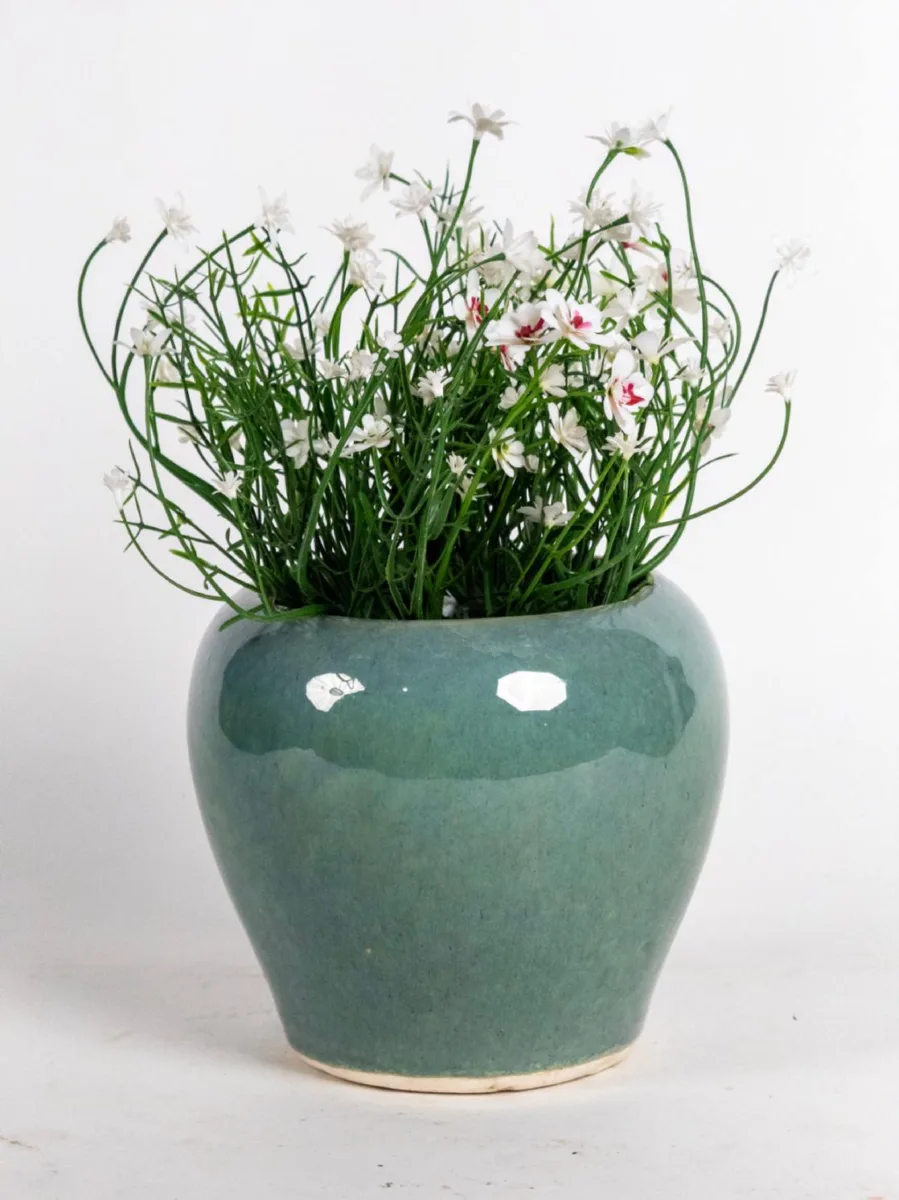 Classic Ceramic Planter — 3.5" Dia × 3.5" Height — Primary View