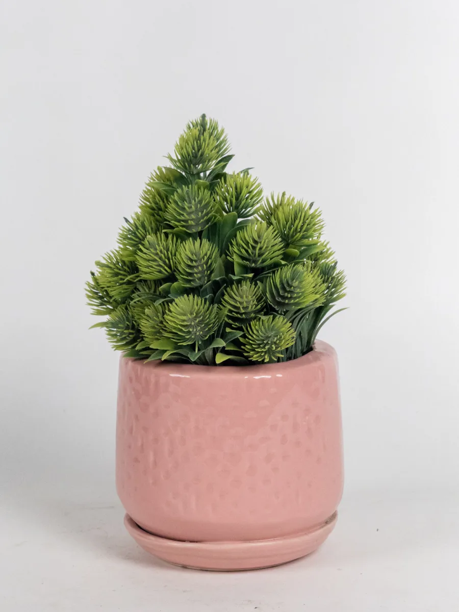 Classic Ceramic Planter — 3.5" Dia × 3.5" Height — Primary View