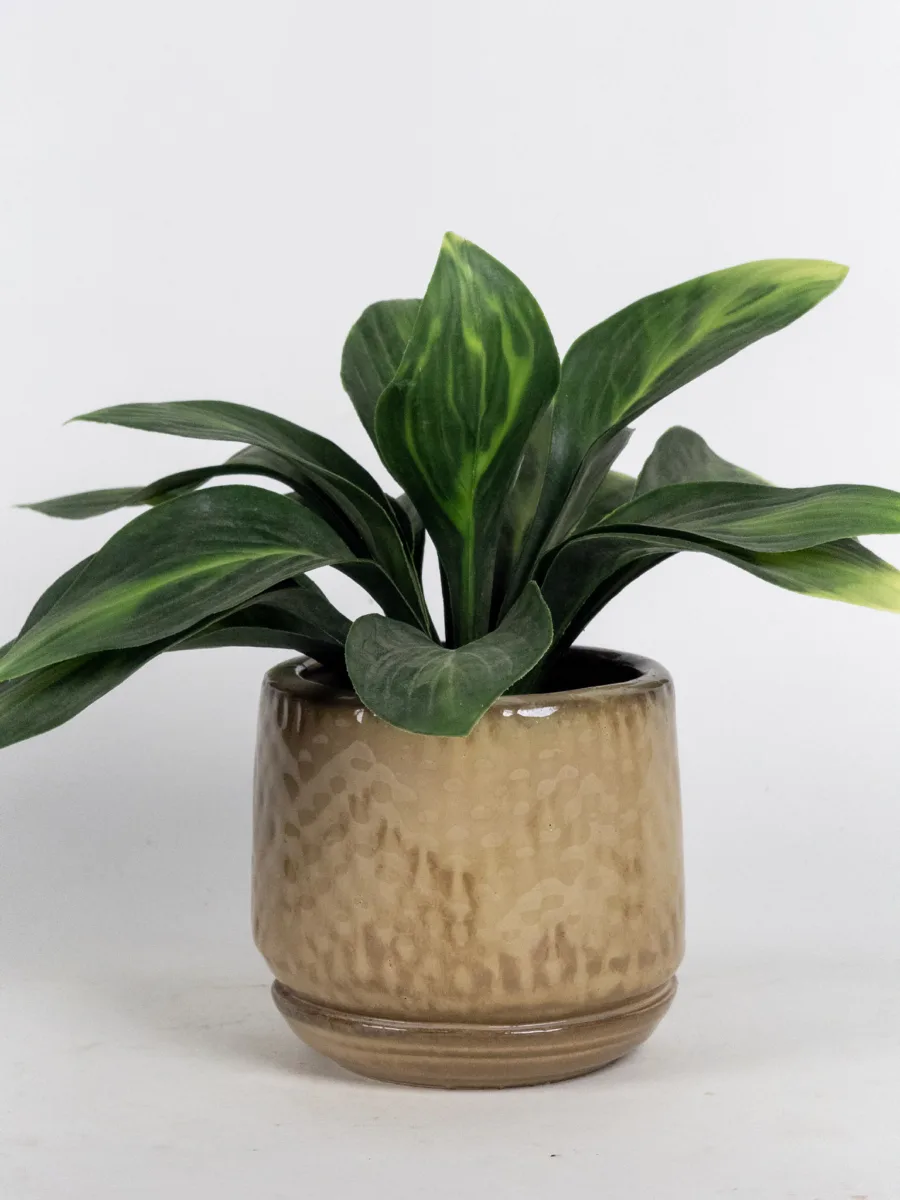 Classic Ceramic Planter — 5" Dia × 4.5" Height — Primary View