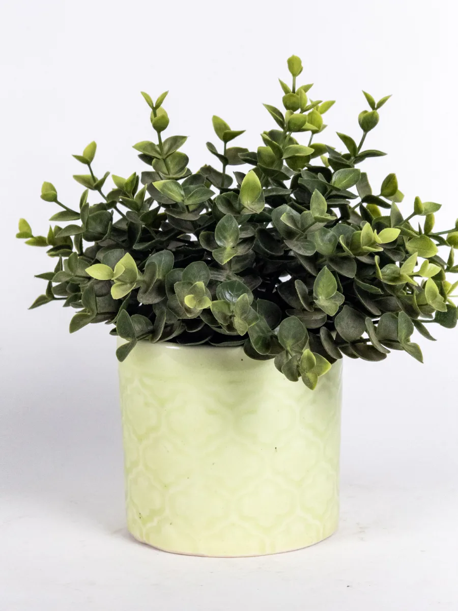 Classic Ceramic Planter — 5" Dia × 4.5" Height — Primary View