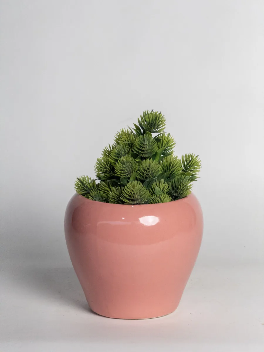 Classic Ceramic Planter — 5" Dia × 4.5" Height — Primary View