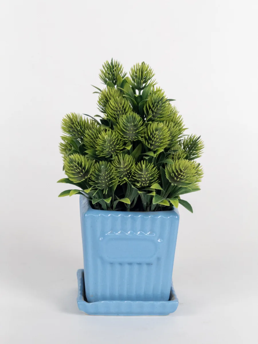 Classic Ceramic Planter — 5" Dia × 4" Height — Primary View