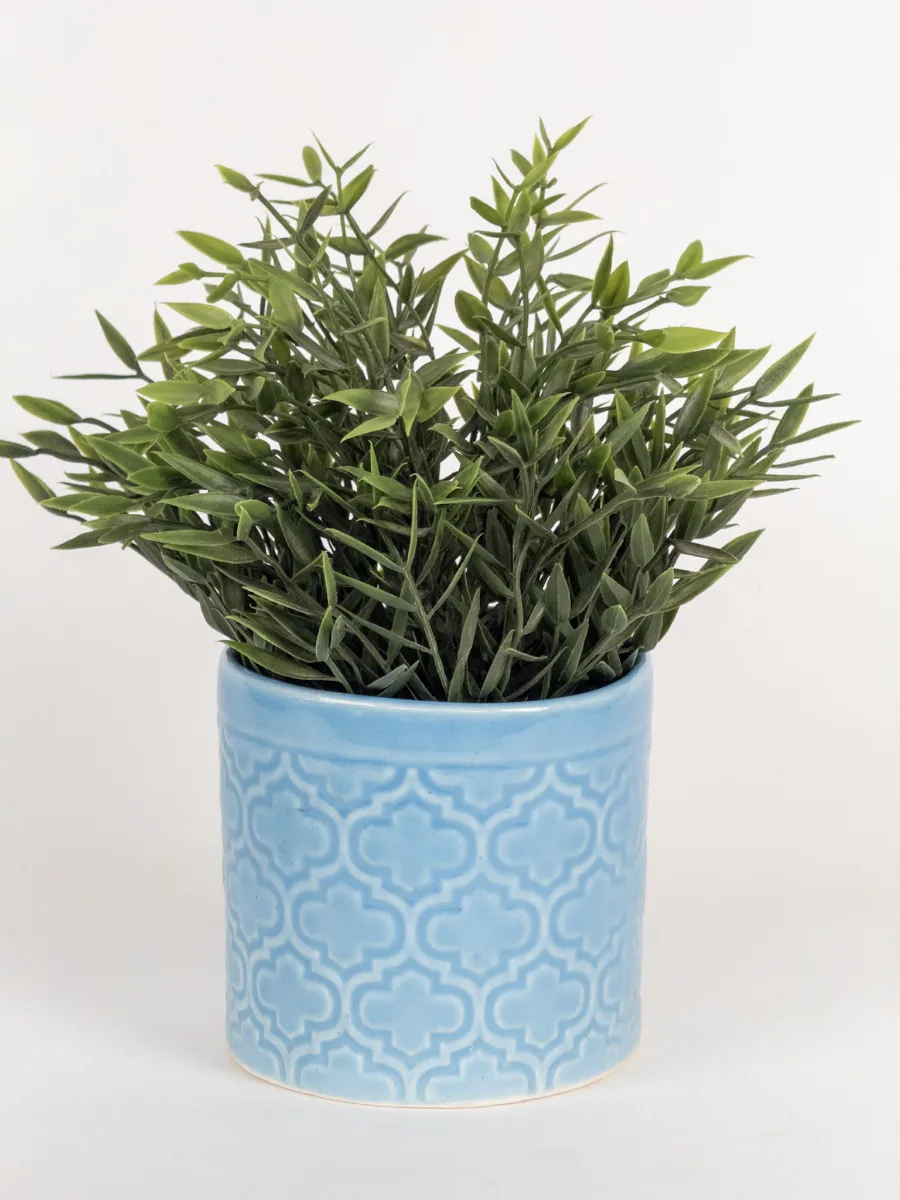 Classic Ceramic Planter — 5.5" Dia × 5" Height — Primary View
