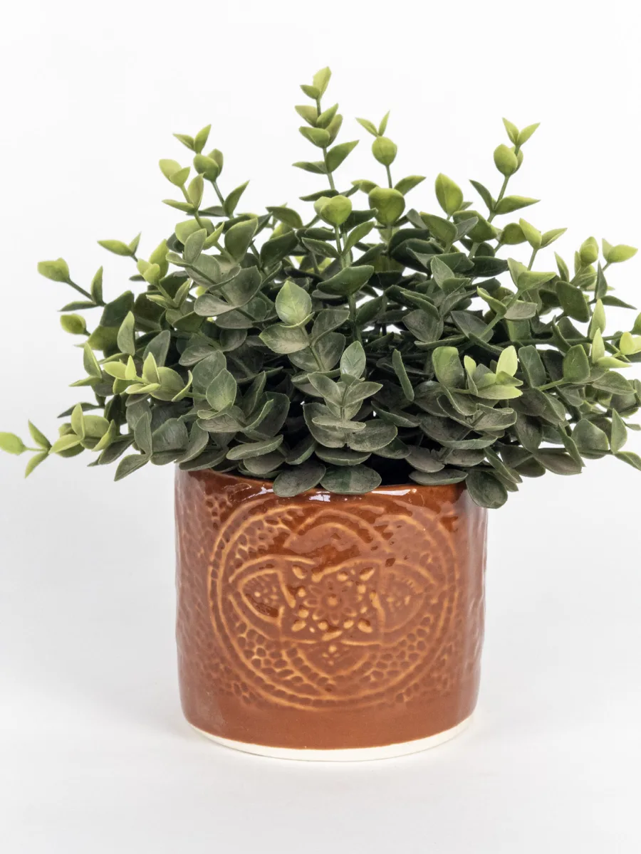 Classic Ceramic Planter — 5.5" Dia × 5" Height — Primary View