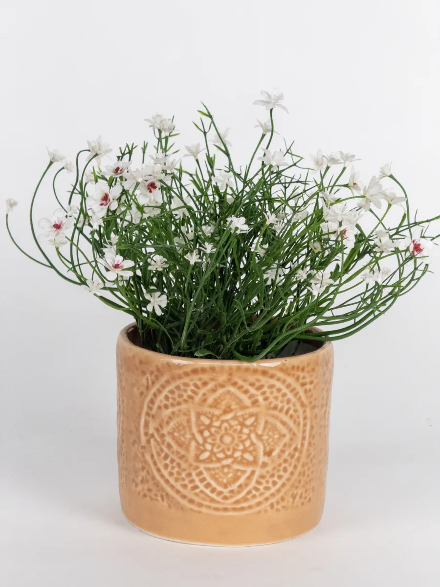 Classic Ceramic Planter — 5" Dia × 4" Height — Primary View