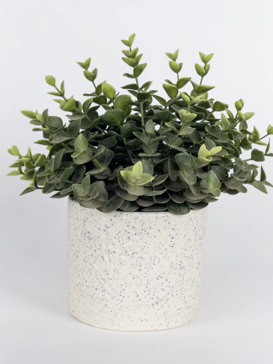 Classic Ceramic Planter — 5" Dia × 5" Height — Primary View