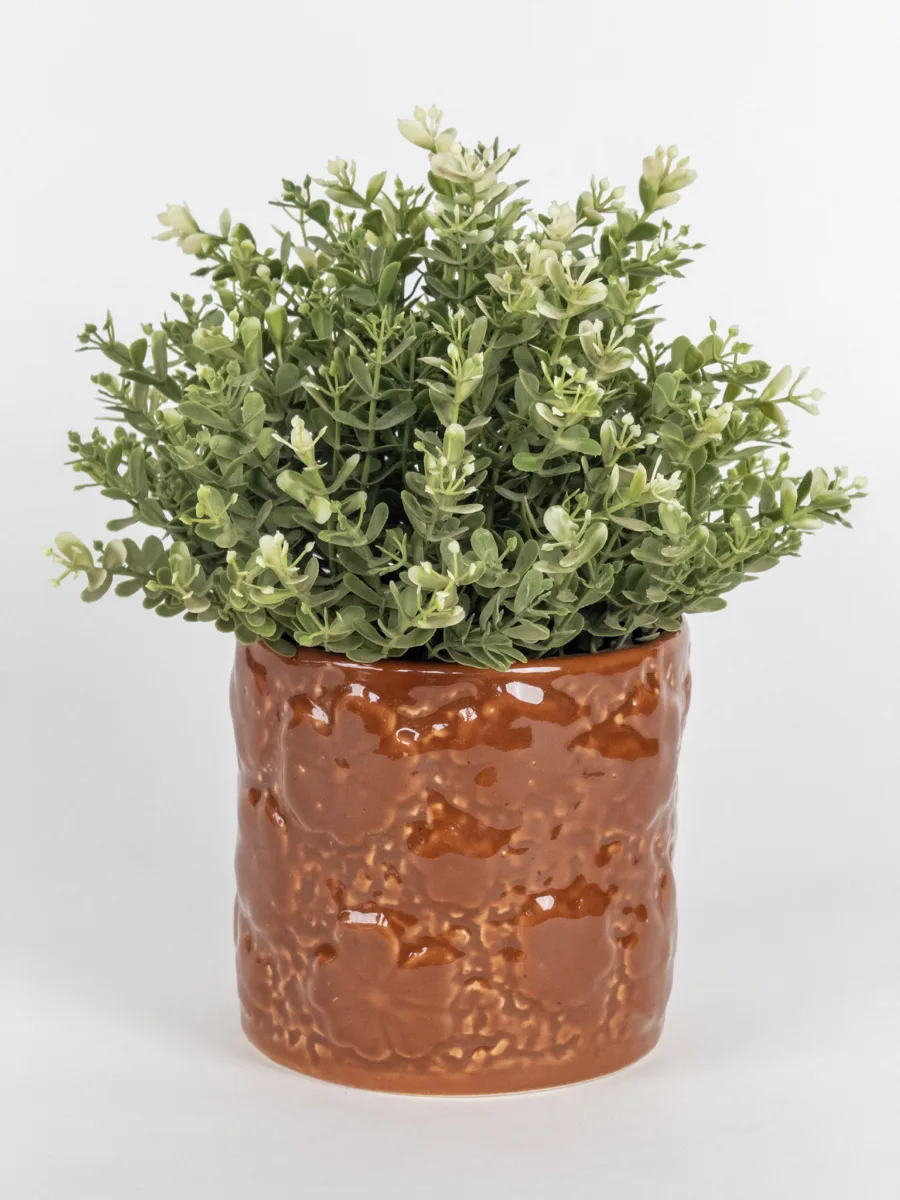 Classic Ceramic Planter — 5" Dia × 4" Height — Primary View