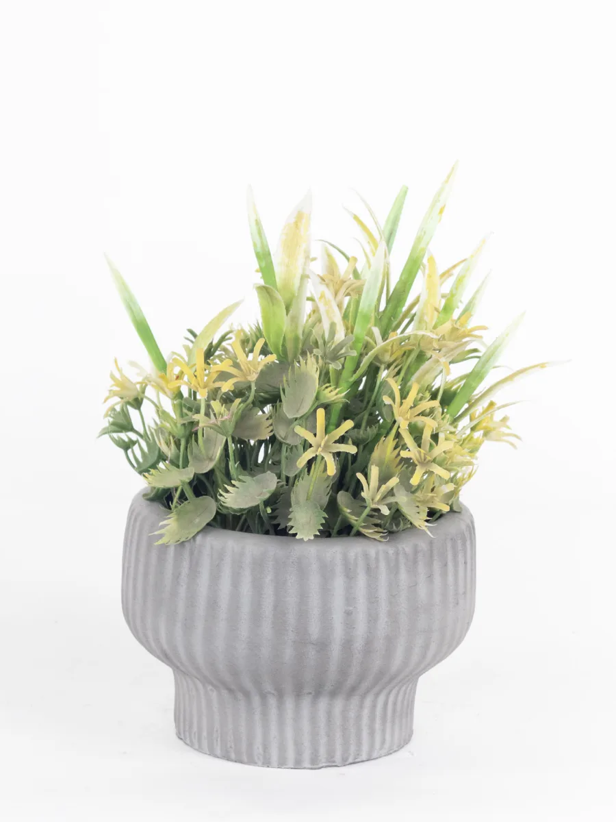 Classic Ceramic Planter — 5" Dia × 4" Height — Primary View