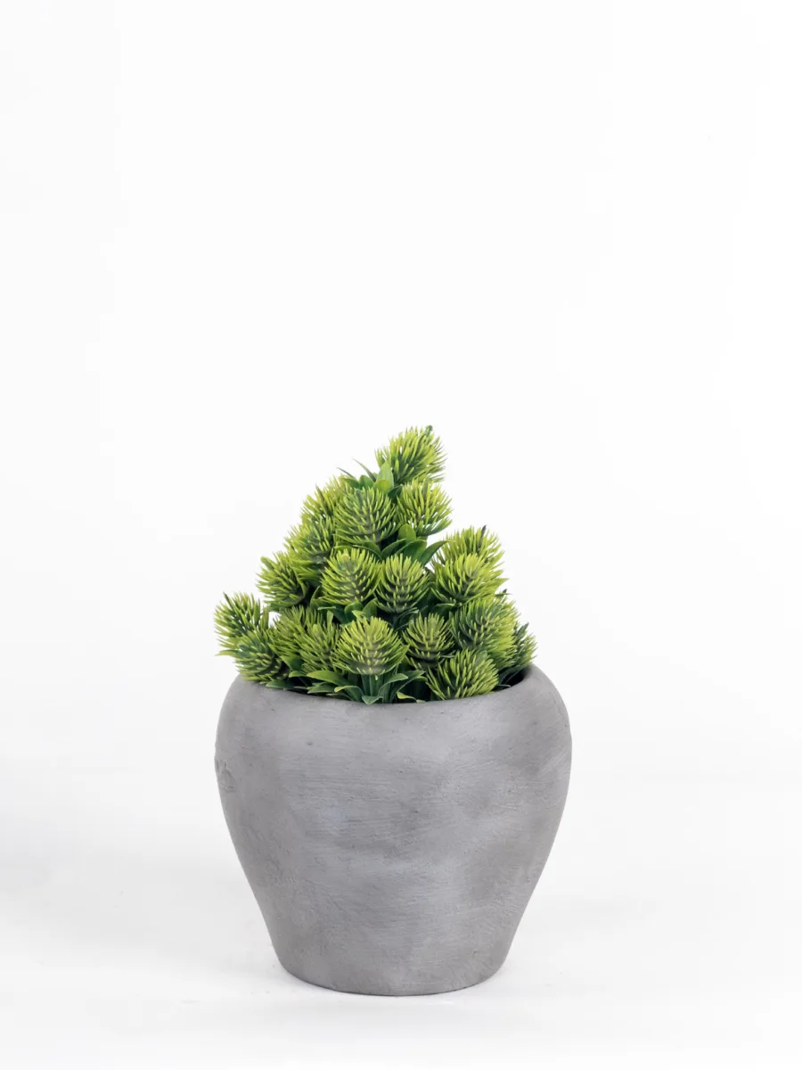 Classic Ceramic Planter — 5" Dia × 5" Height — Primary View