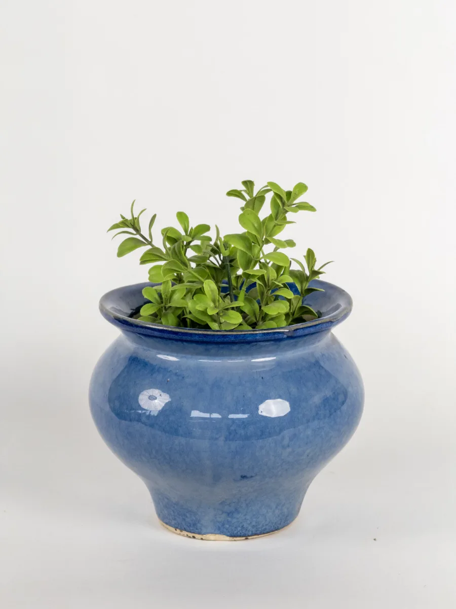 Classic Ceramic Planter — 5" Dia × 5" Height — Primary View