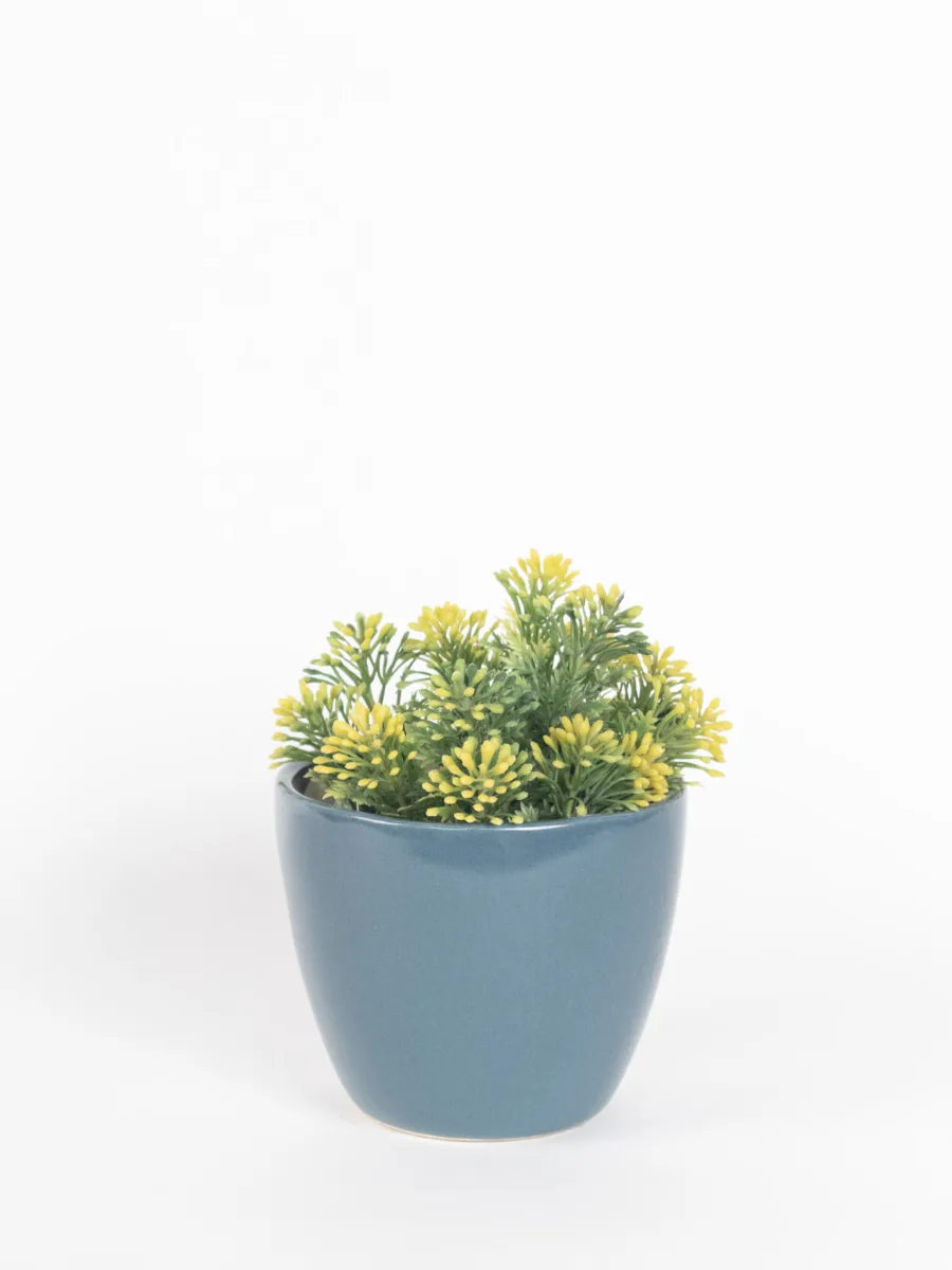 Classic Ceramic Planter — 5" Dia × 5" Height — Primary View