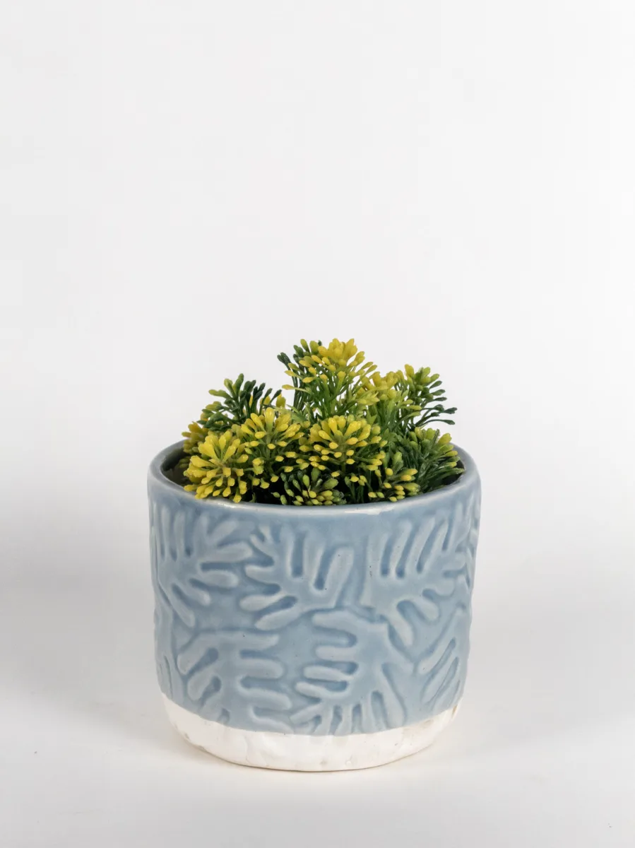 Classic Ceramic Planter — 5" Dia × 5" Height — Primary View