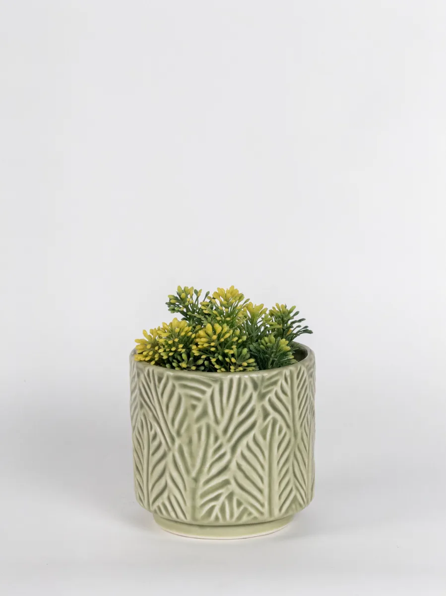 Classic Ceramic Planter — 5" Dia × 3" Height — Primary View