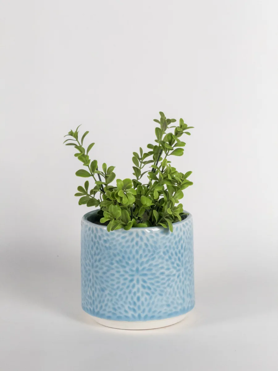 Classic Ceramic Planter — 5" Dia × 4.5" Height — Primary View