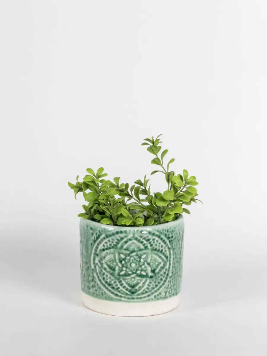 Classic Ceramic Planter — 5" Dia × 4" Height — Primary View