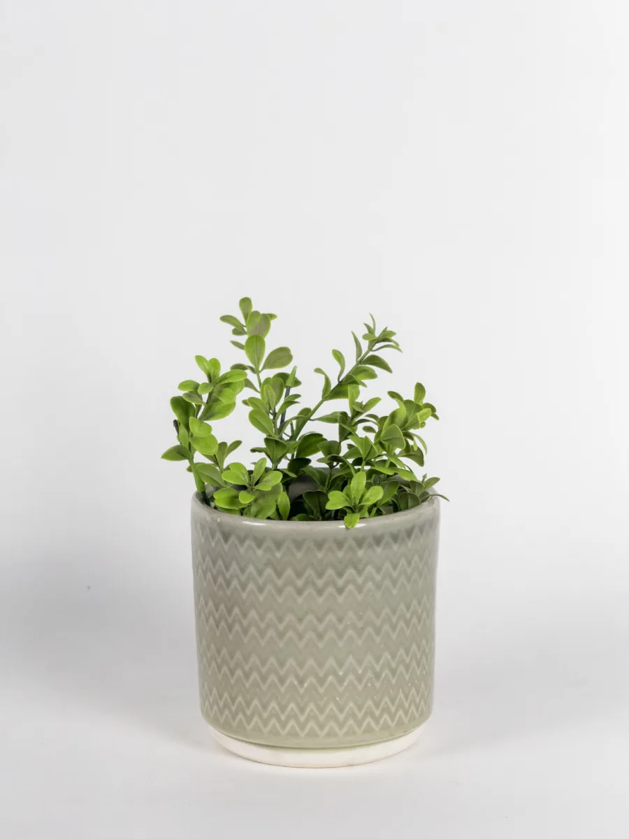 Classic Ceramic Planter — 5" Dia × 4" Height — Primary View