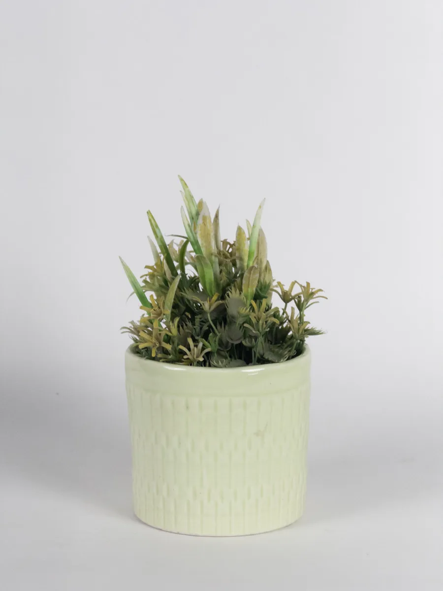 Classic Ceramic Planter — 6" Dia × 5" Height — Primary View