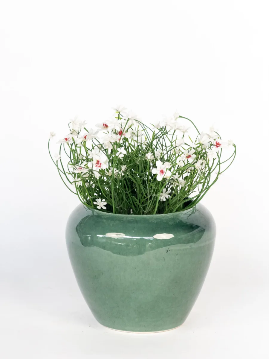 Classic Ceramic Planter — 5" Dia × 4.5" Height — Primary View