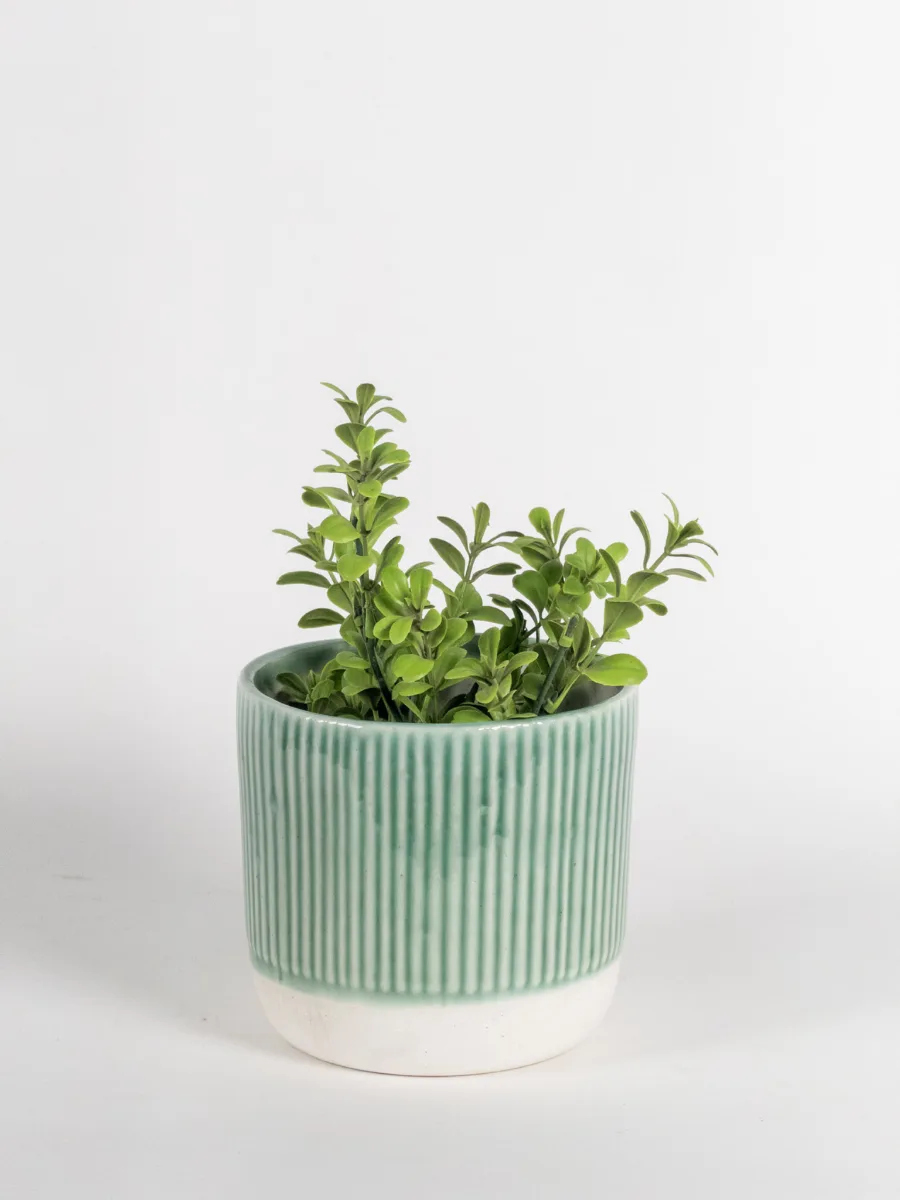 Classic Ceramic Planter — Primary View