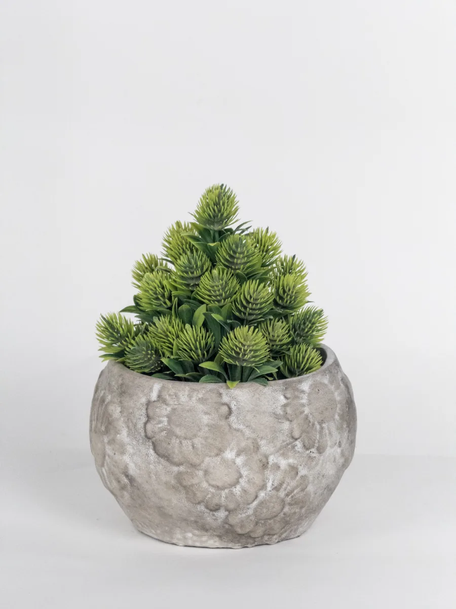 Classic Ceramic Planter — 5" Dia × 4.5" Height — Primary View