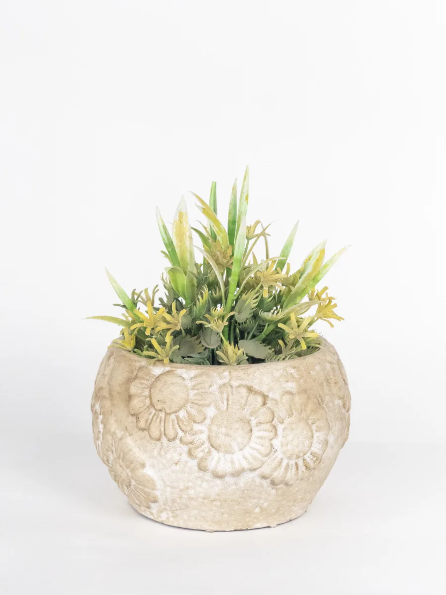 Classic Ceramic Planter — 5.5" Dia × 5" Height — Primary View