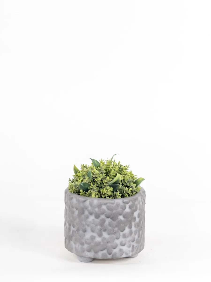 Classic Ceramic Planter — 4.5" Dia × 4.5" Height — Primary View