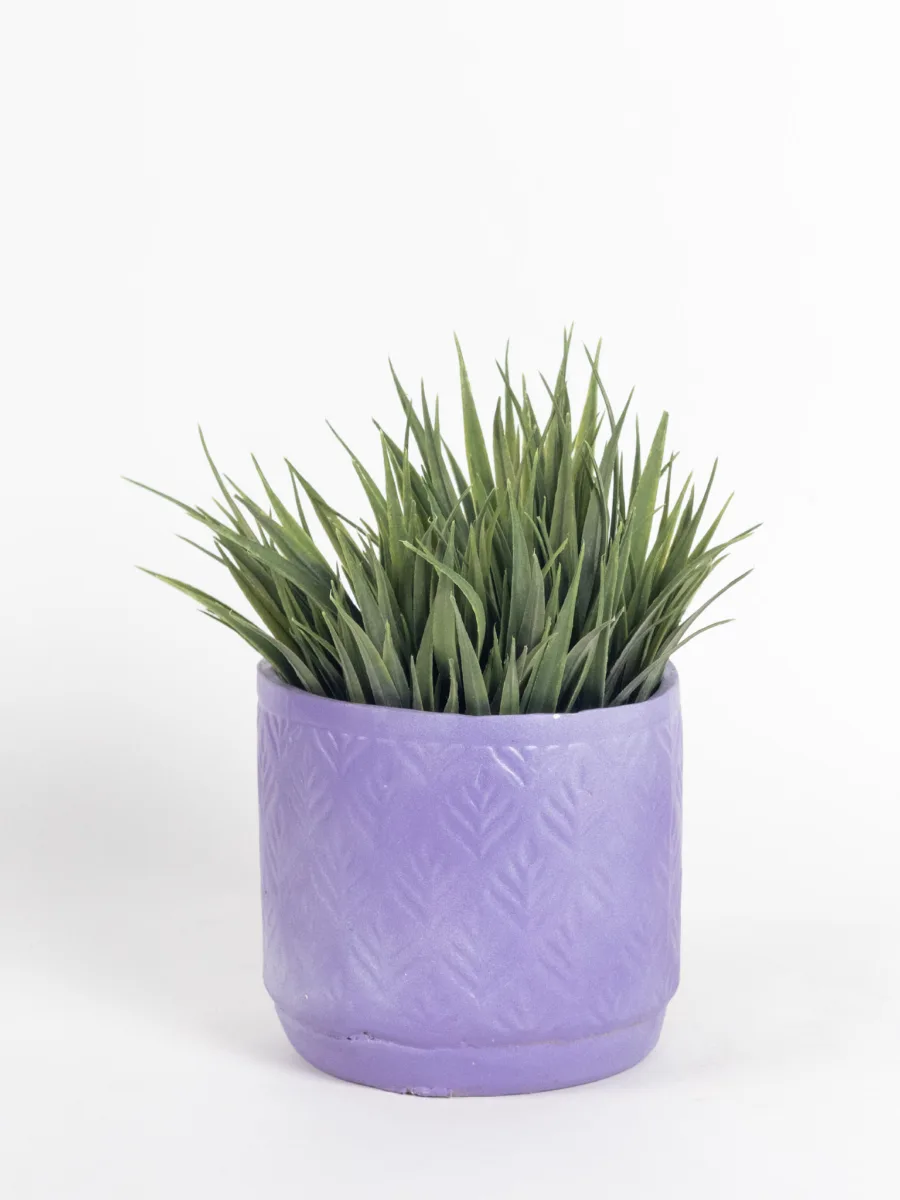 Classic Ceramic Planter — 6" Dia × 5.5" Height — Primary View
