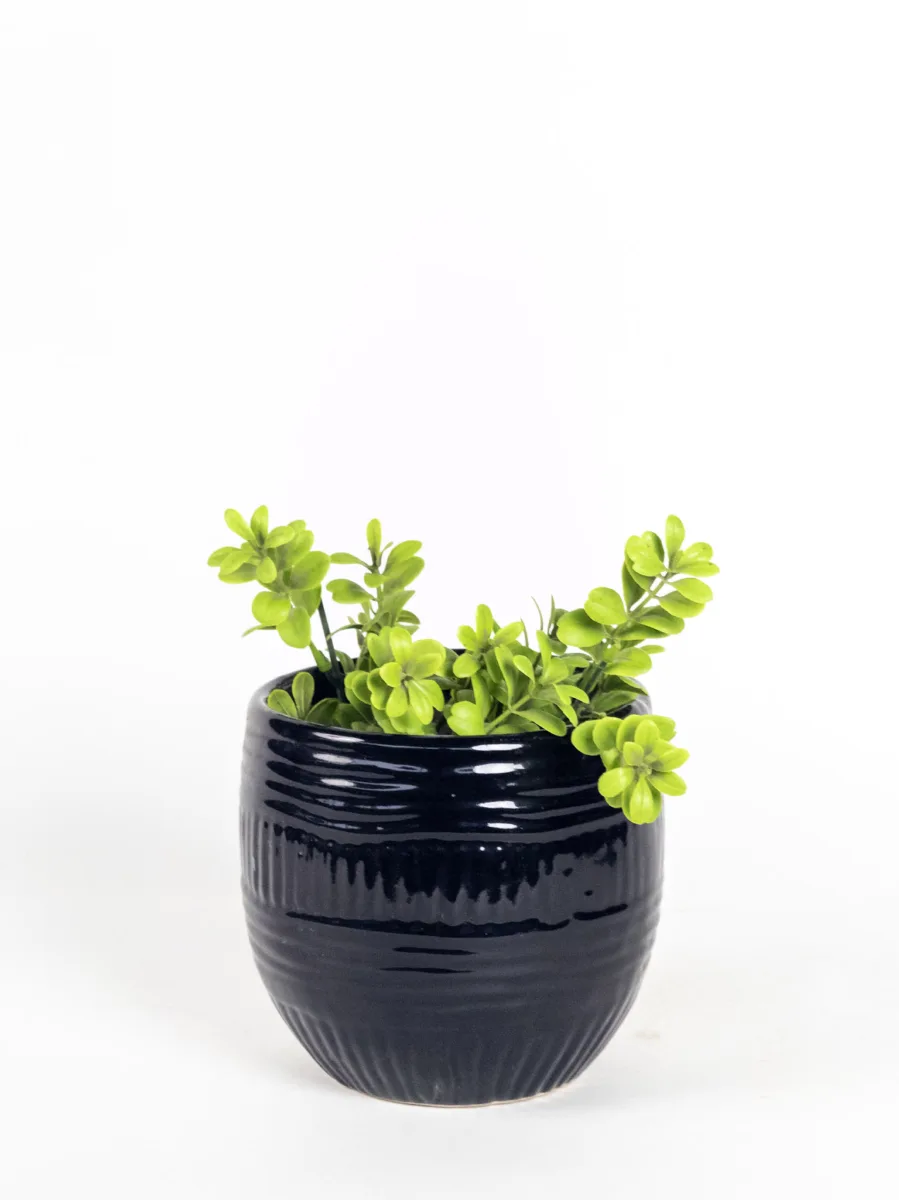 Classic Ceramic Planter — 5" Dia × 4" Height — Primary View