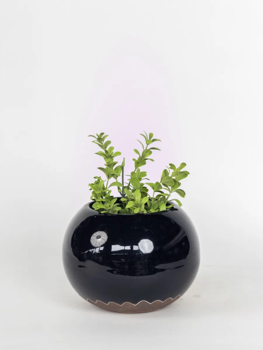 Classic Ceramic Planter — 6" Dia × 4" Height — Primary View