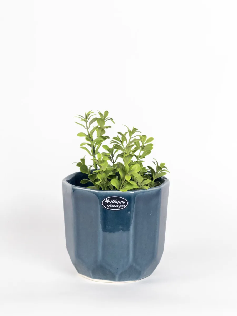 Classic Ceramic Planter — 5" Dia × 4" Height — Primary View