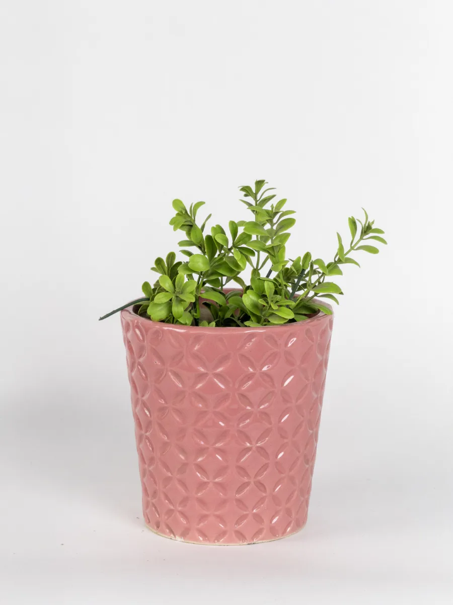 Classic Ceramic Planter — 5" Dia × 4.5" Height — Primary View