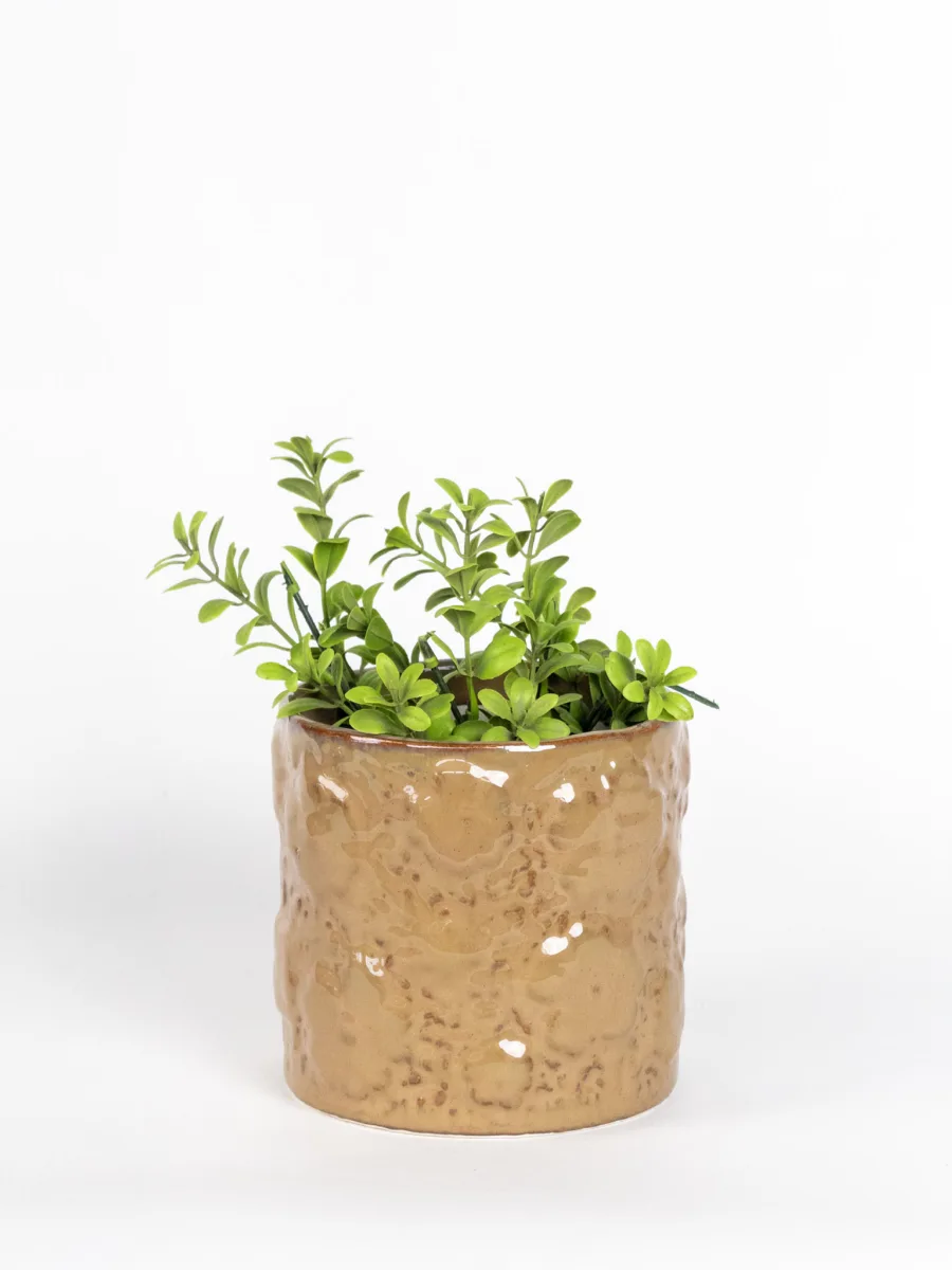 Classic Ceramic Planter — 4.5" Dia × 4" Height — Primary View