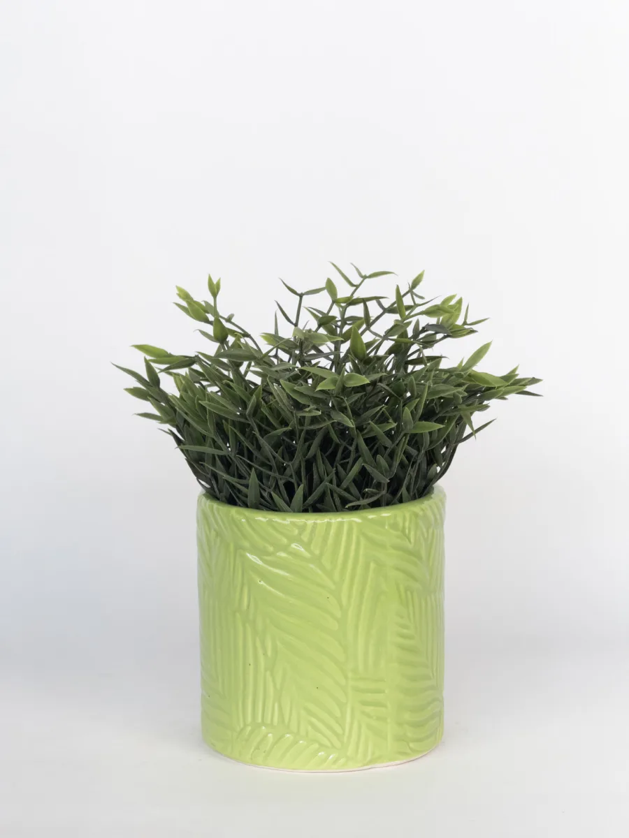 Classic Ceramic Planter — 5" Dia × 5" Height — Primary View