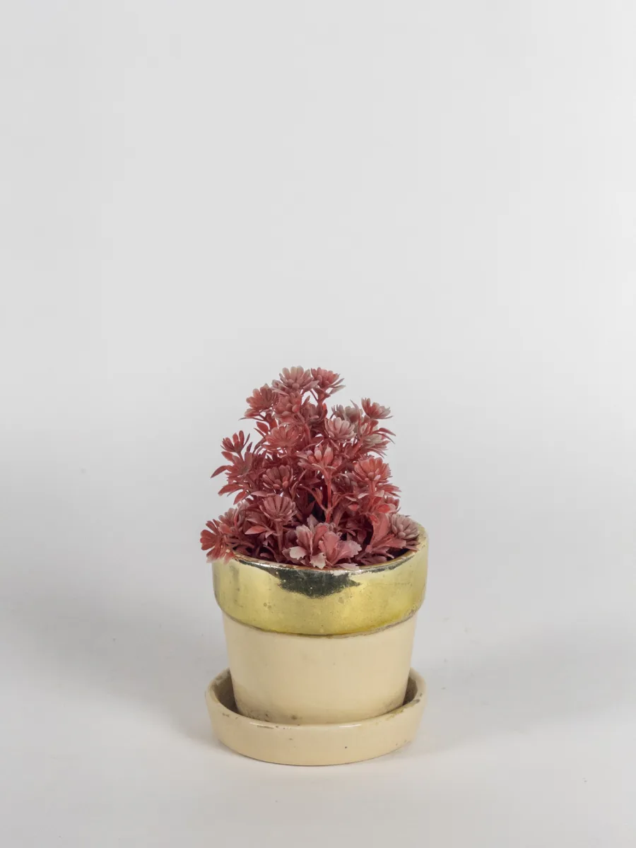 Classic Ceramic Planter — 6" Dia × 5" Height — Primary View
