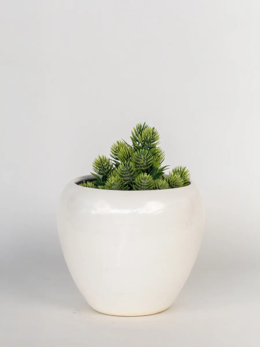 Classic Ceramic Planter — 5" Dia × 4.5" Height — Primary View