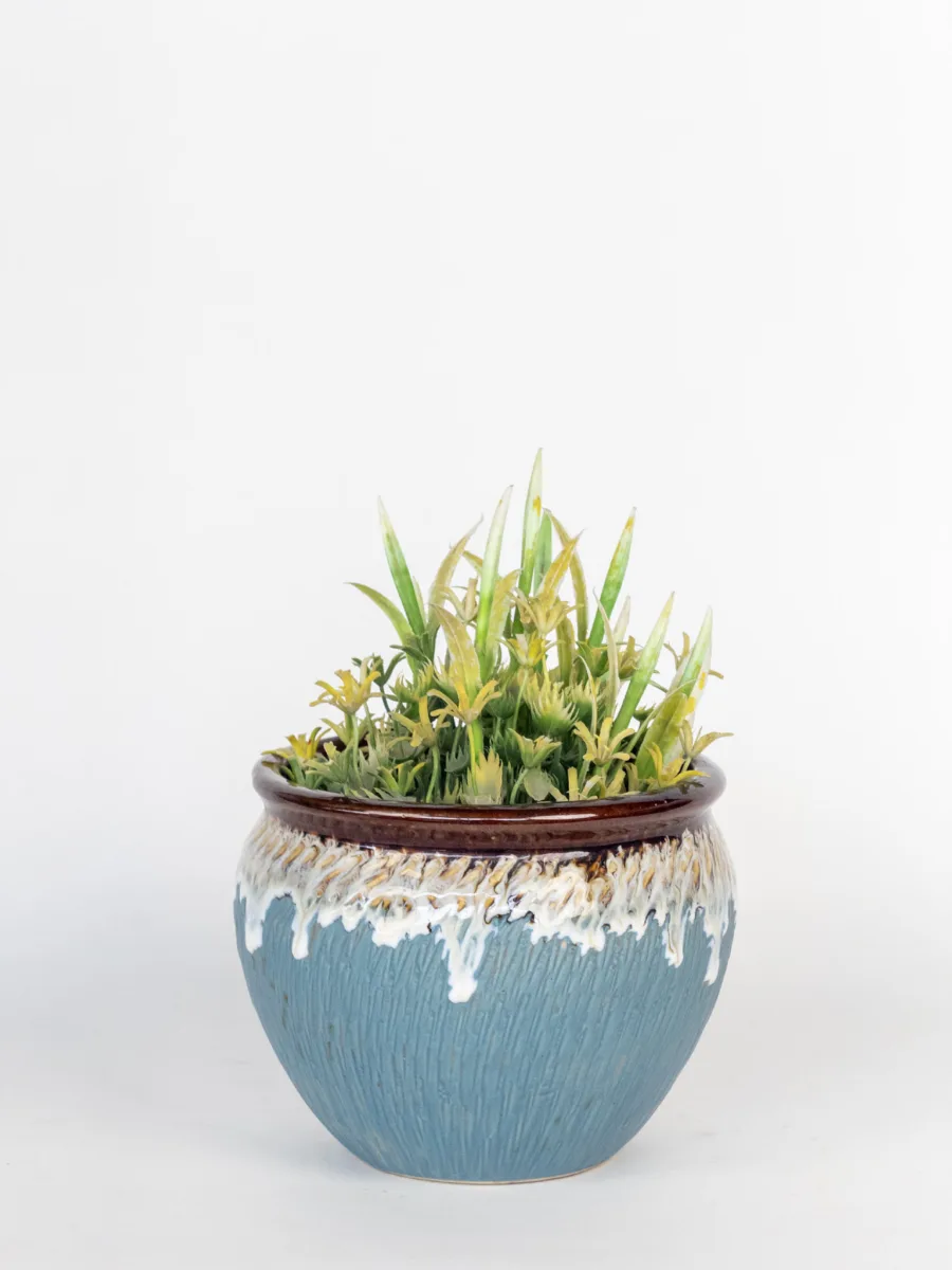 Classic Ceramic Planter — 5" Dia × 4.5" Height — Primary View
