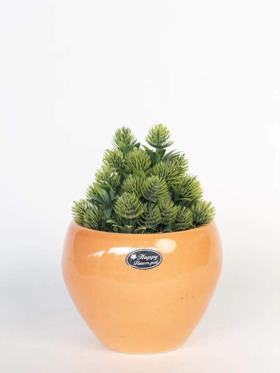 Classic Ceramic Planter — 5" Dia × 5" Height — Primary View