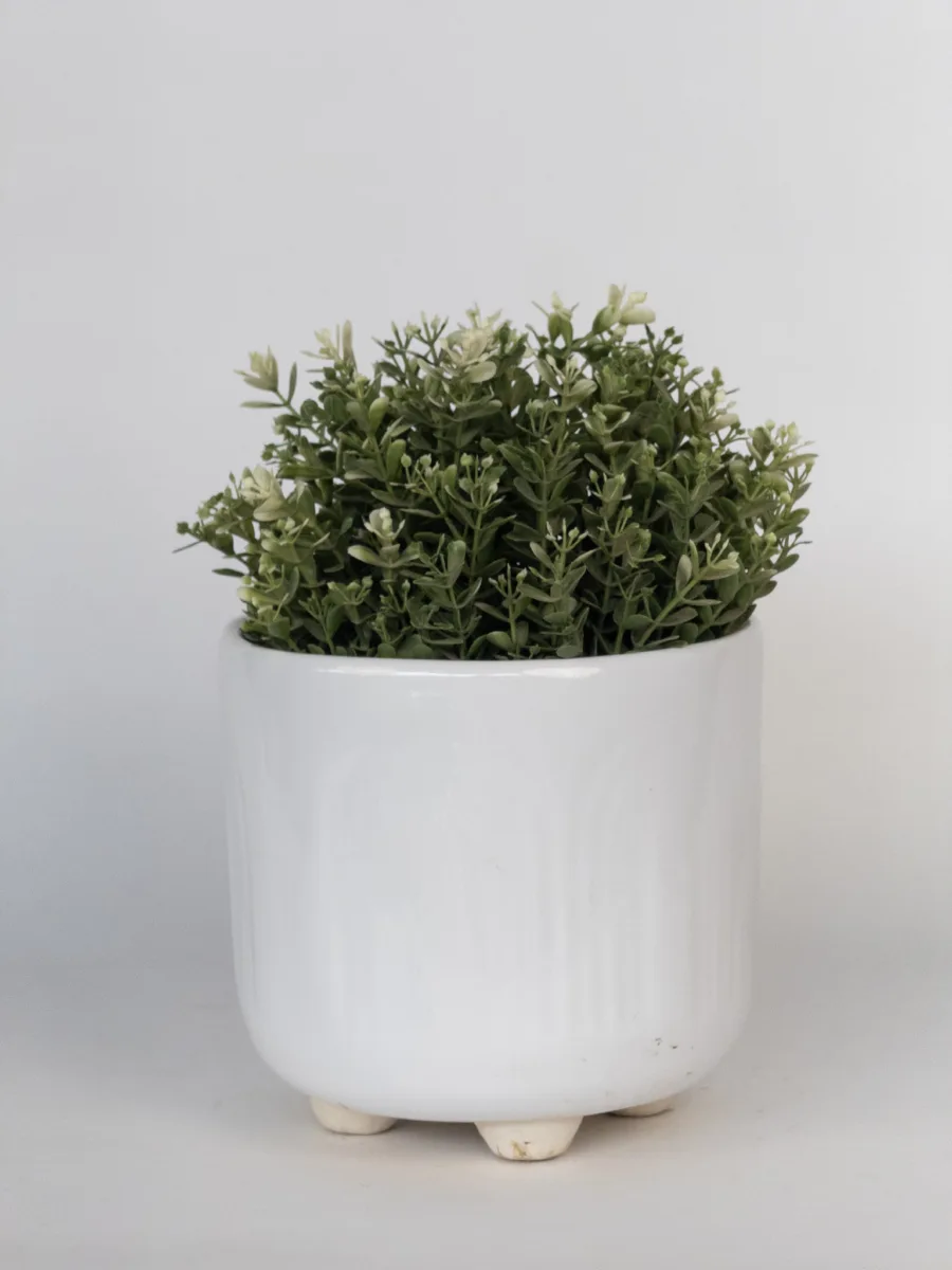 Classic Ceramic Planter — Primary View