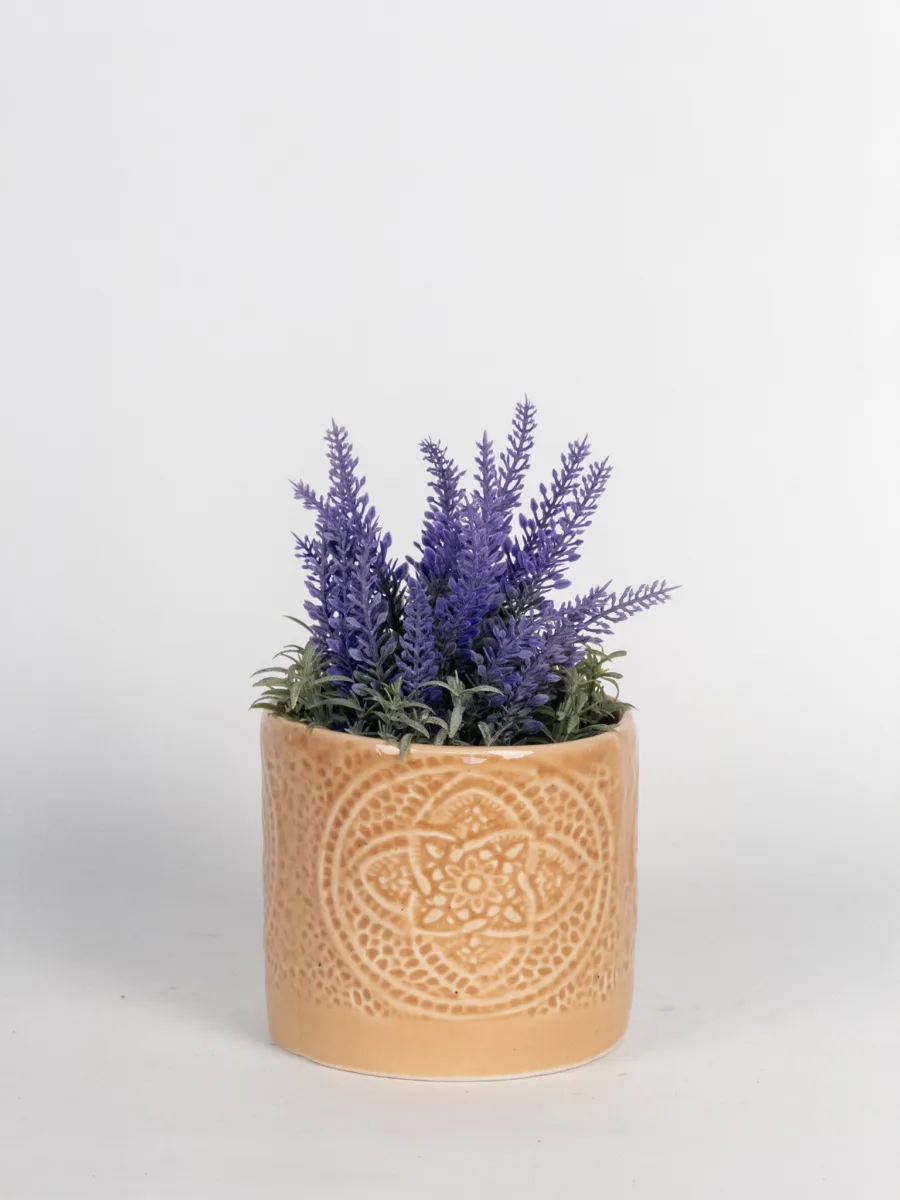 Classic Ceramic Planter — 5" Dia × 4.5" Height — Primary View
