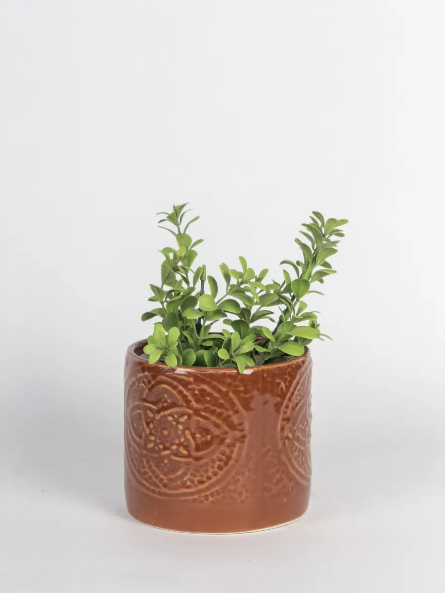 Classic Ceramic Planter — Primary View