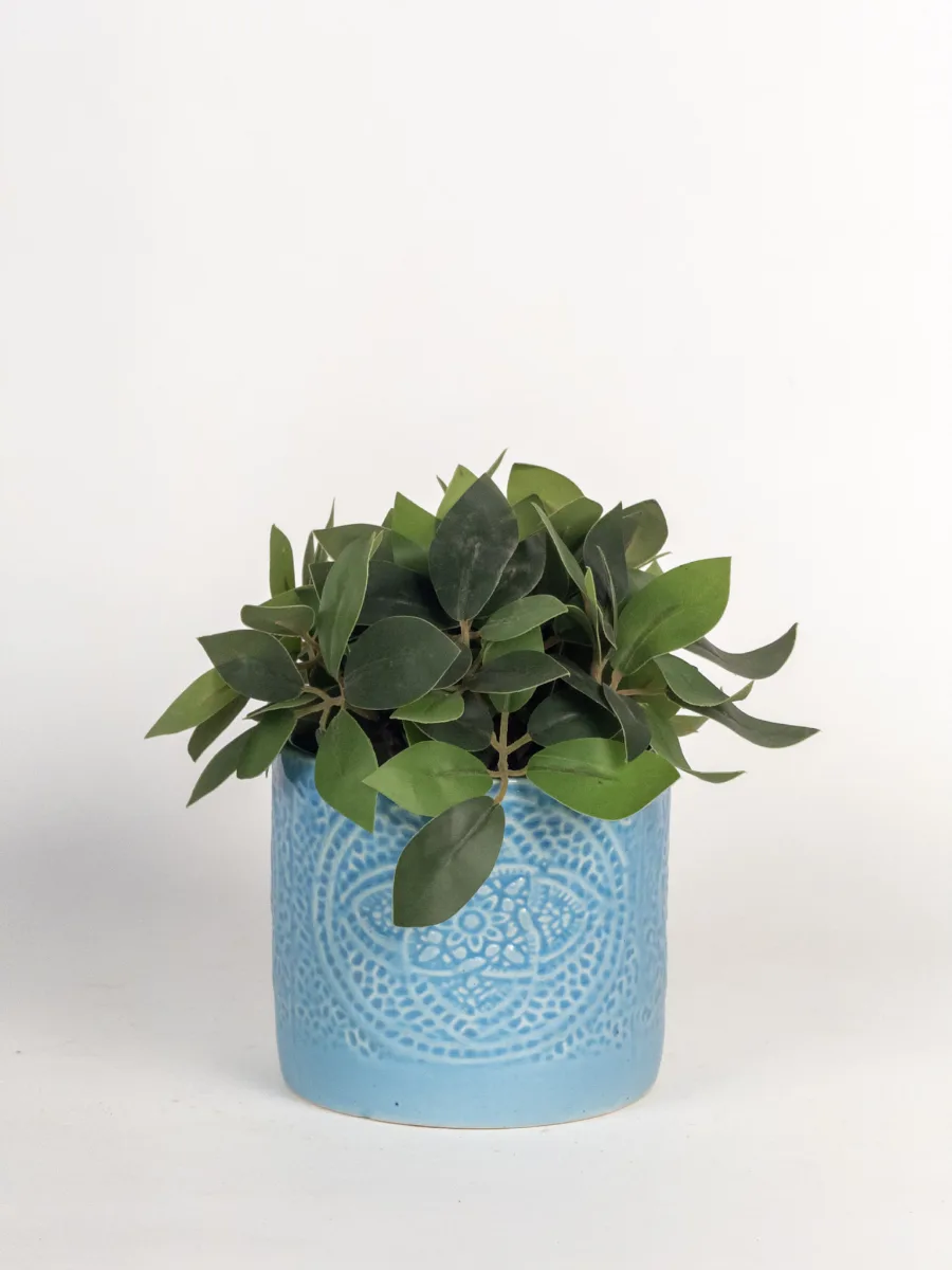 Classic Ceramic Planter — 6" Dia × 6" Height — Primary View