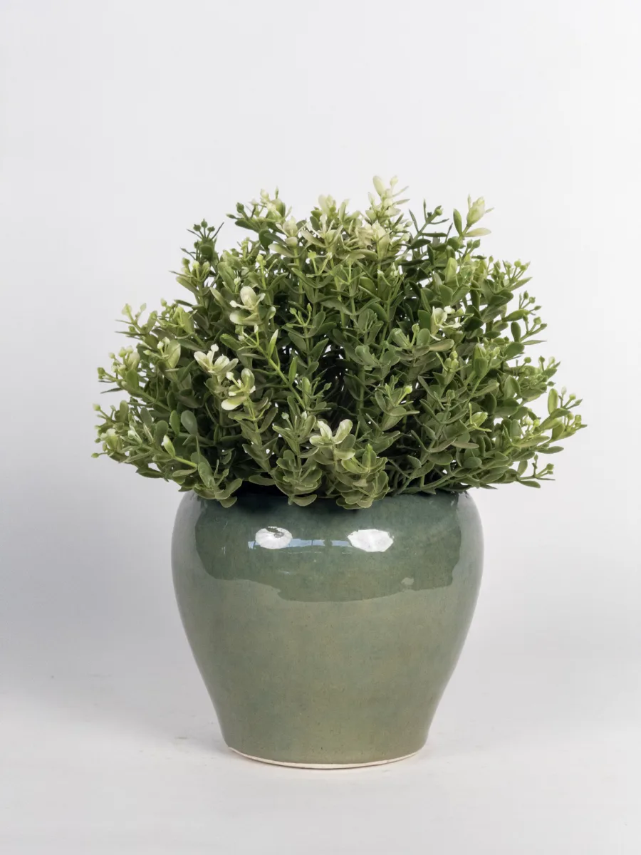 Classic Ceramic Planter — 4.5" Dia × 4" Height — Primary View