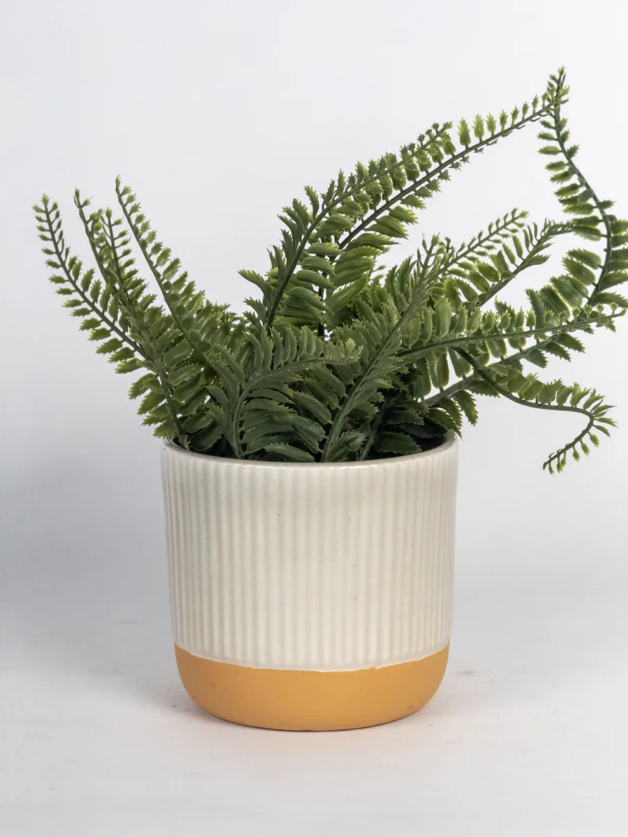 Classic Ceramic Planter — 4.5" Dia × 4" Height — Primary View