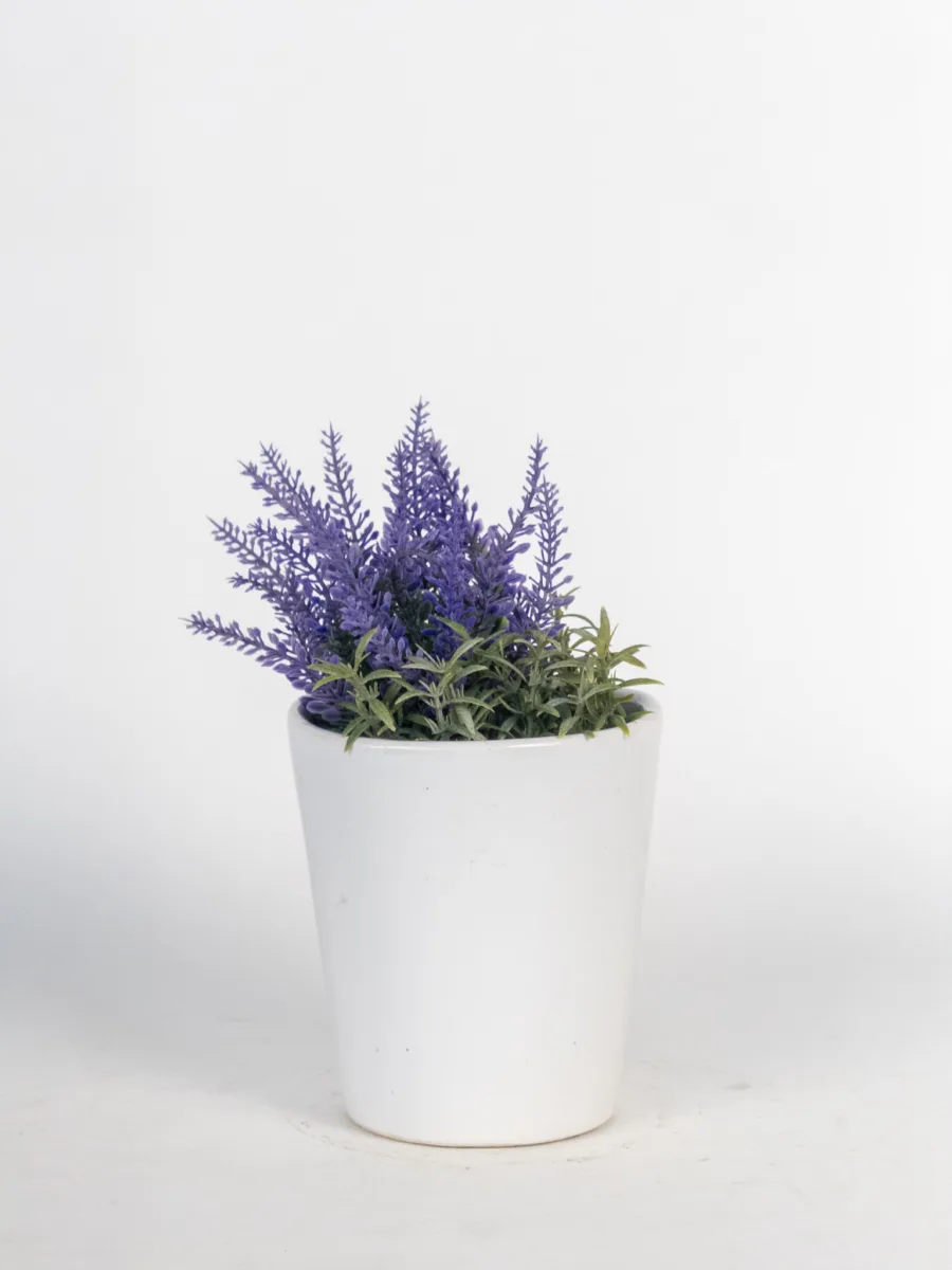 Classic Ceramic Planter — 4.5" Dia × 4.5" Height — Primary View