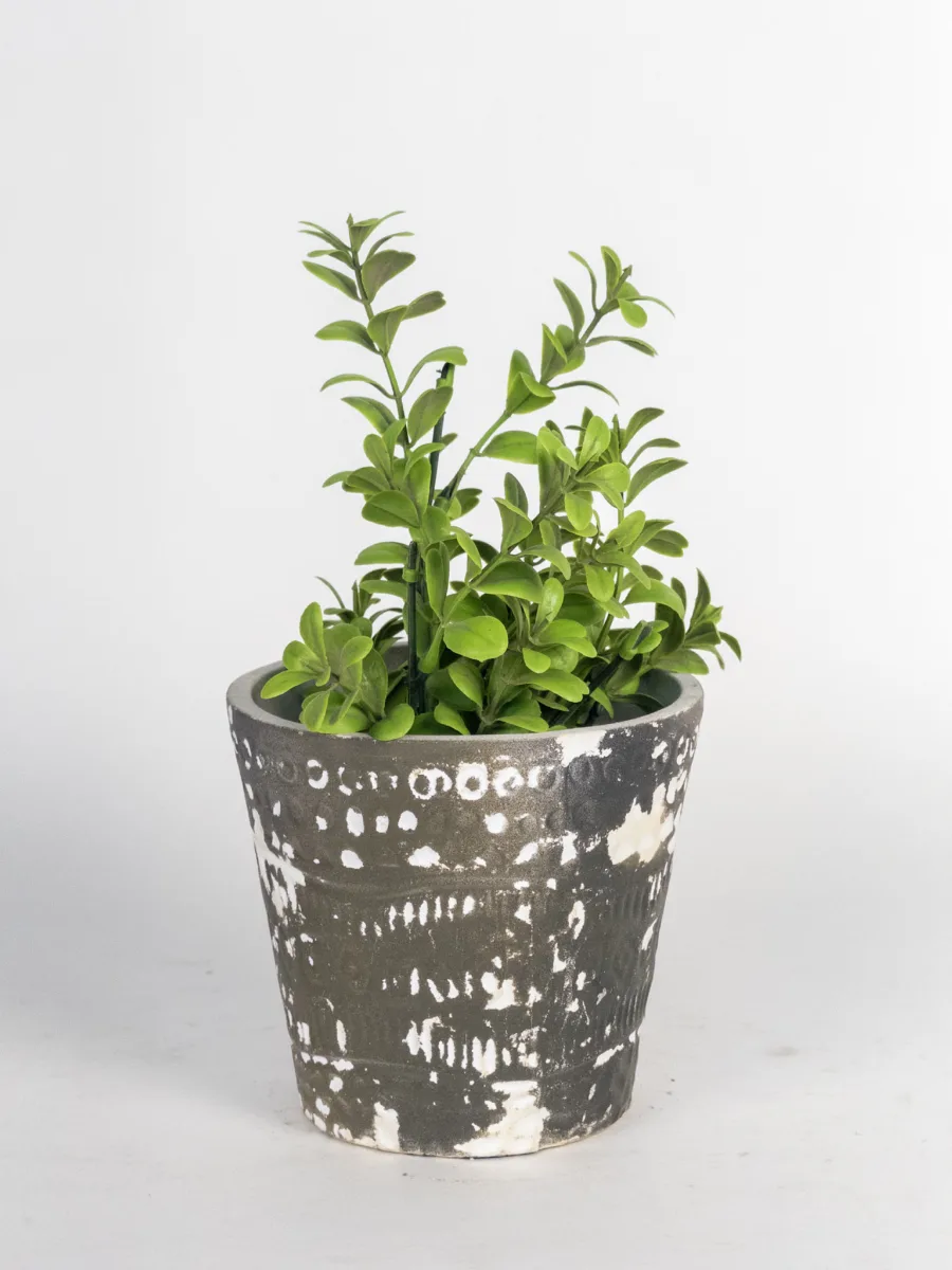 Classic Ceramic Planter — 6.5" Dia × 6.5" Height — Primary View