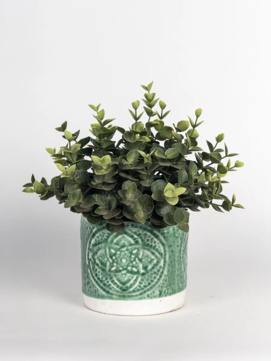 Classic Ceramic Planter — 5" Dia × 5" Height — Primary View