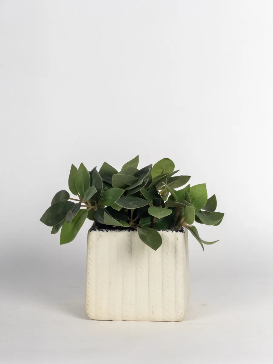 Classic Ceramic Planter — 5" Dia × 4.5" Height — Primary View