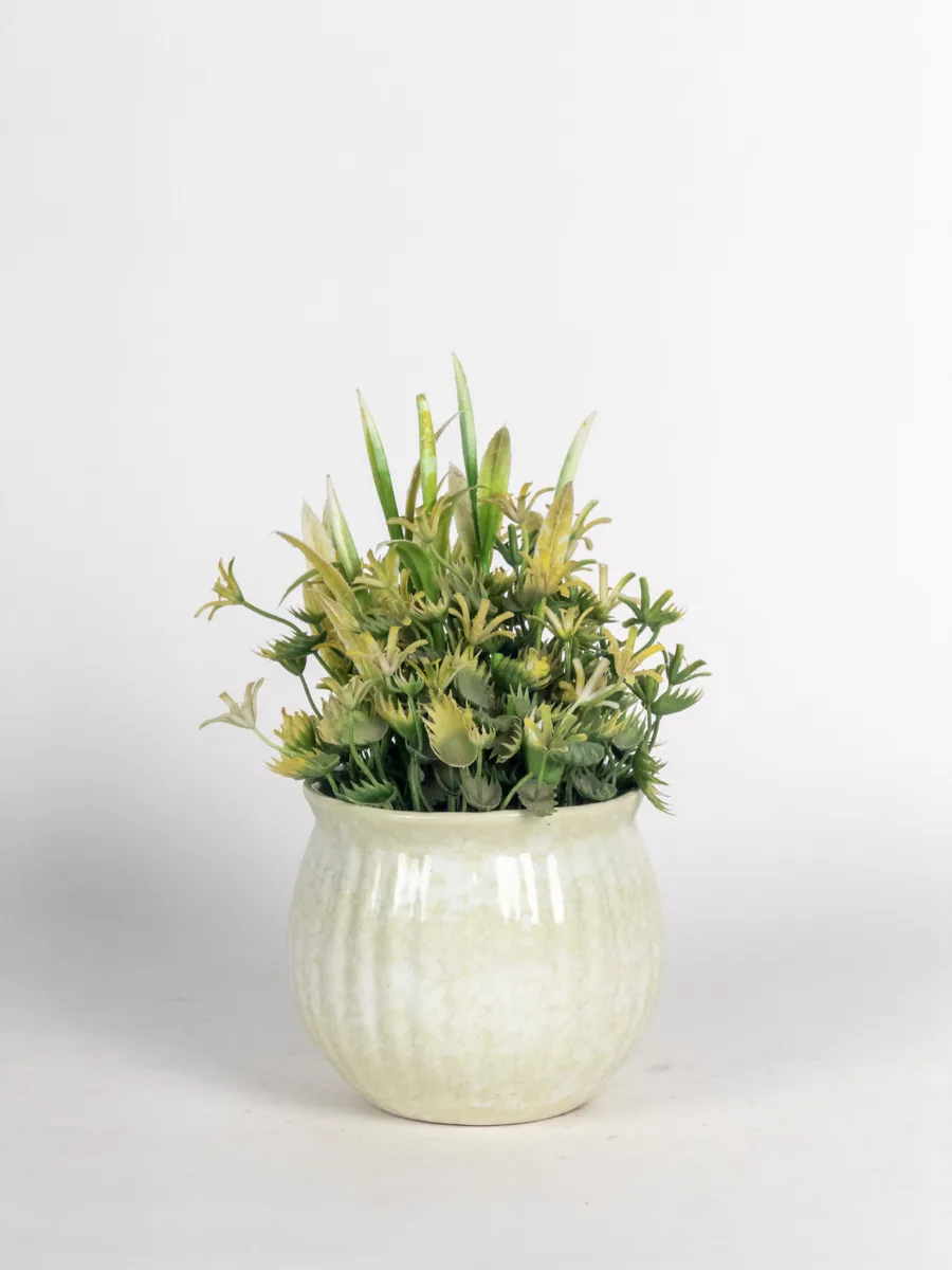 Classic Ceramic Planter — 5" Dia × 5" Height — Primary View