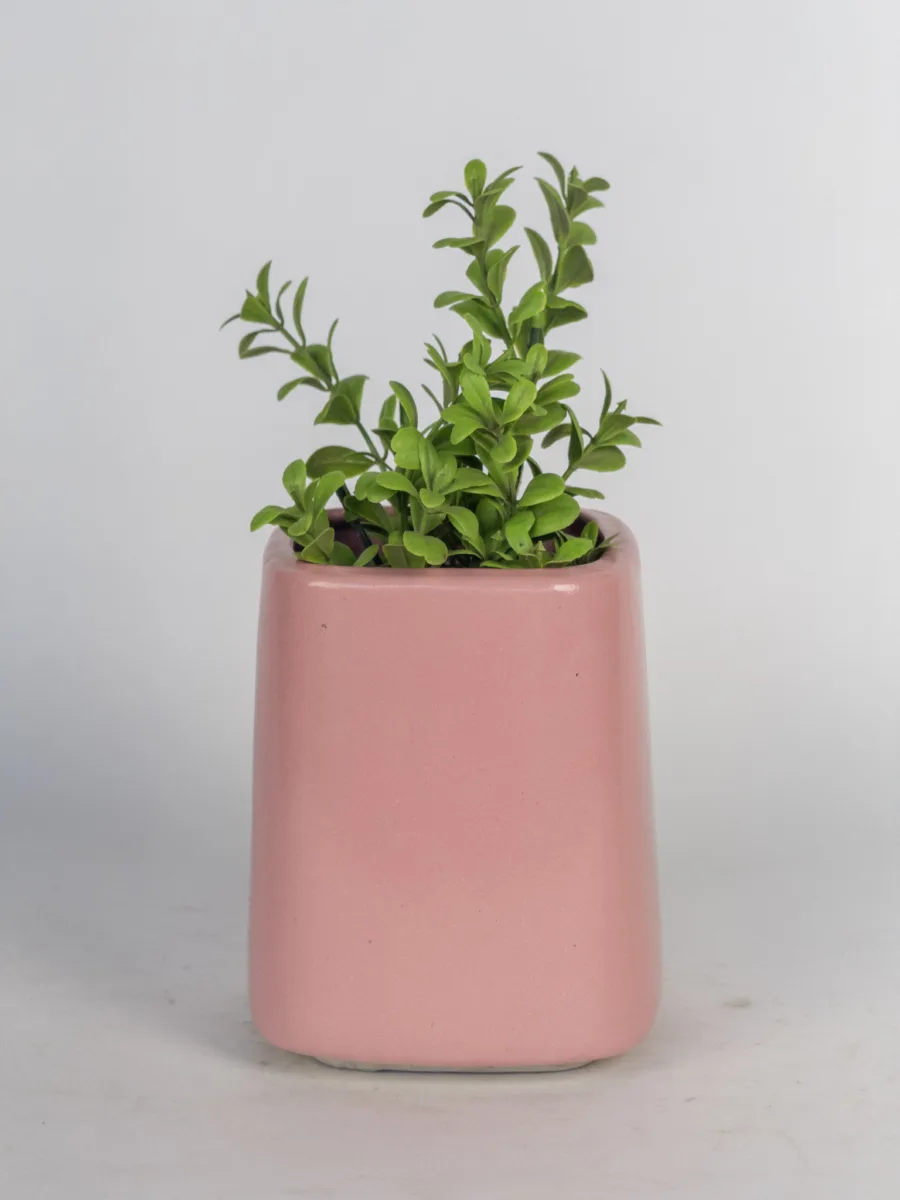Classic Ceramic Planter — 4" Dia × 5" Height — Primary View